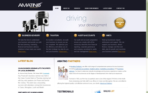 Amatino web design