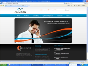 Screenshot of www.ammeon.com website