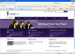 Screenshot of Leap Advisors website.